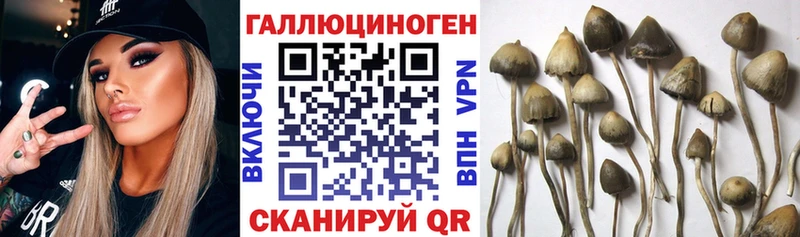 сколько стоит  MEGA зеркало  Псилоцибиновые грибы мухоморы  Каменск-Шахтинский 