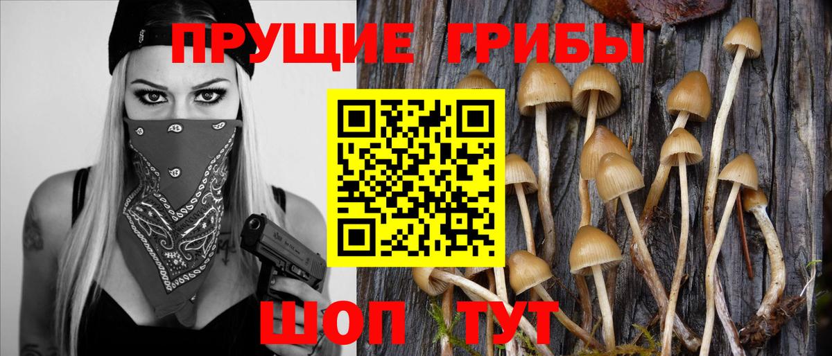 Псилоцибиновые грибы ЛСД Каменск-Шахтинский