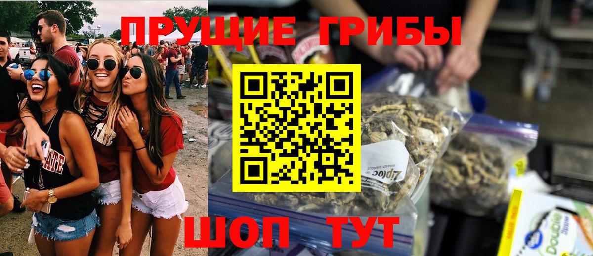 Каменск-Шахтинский  Галлюциногенные грибы мицелий  Вход с VPN  Псилоцибиновые грибы мицелий 