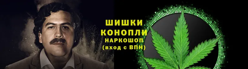 mega ссылки  как найти наркотики  Каменск-Шахтинский  Канабис SATIVA & INDICA 